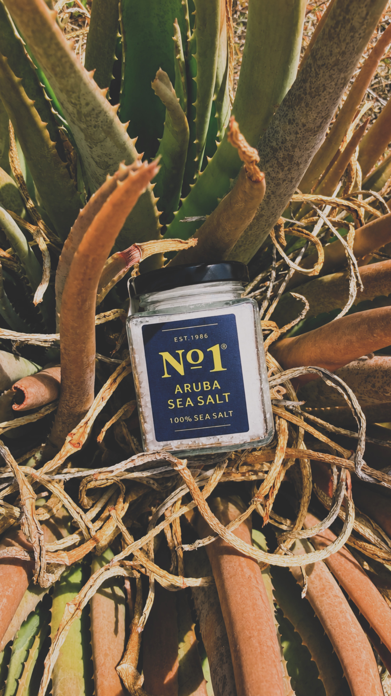 Aruba botanicals beside the sea salt